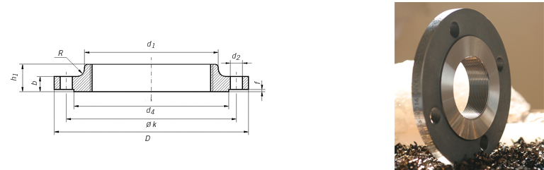 DIN 2573 PN6